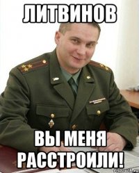 литвинов вы меня расстроили!