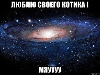 Люблю своего котика ! Мяуууу