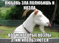 Любовь зла полюбишь и козла Вот некоторые козлы этим ипользуются