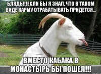 Блядь!!!Если бы я знал, что в таком виде карму отрабатывать придется... Вместо кабака в монастырь бы пошел!!!