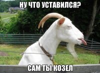 Ну что уставился? Сам ты козел