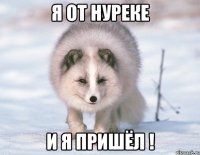 Я от нуреке И я пришёл !