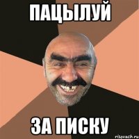 Пацылуй за писку