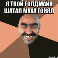я твой голдмайн шатал муха гонял 