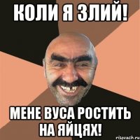 Коли я злий! мене вуса ростить на яйцях!