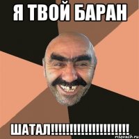 Я ТВОЙ баран ШАТАЛ!!!!!!!!!!!!!!!!!!!!!