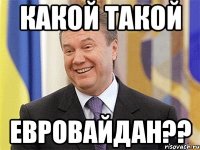 какой такой евровайдан??