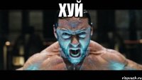 хуй 