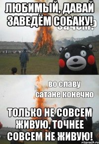 Любимый, давай заведём собаку! Только не совсем живую, точнее совсем не живую!