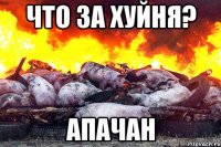 Что за хуйня? Апачан