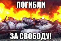 Погибли За свободу!