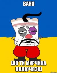 Ваня шо ти мурчика включяэш