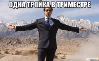 Одна тройка в триместре 