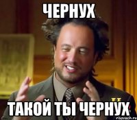 Чернух такой ты чернух