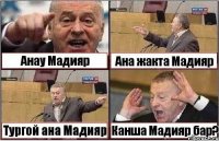 Анау Мадияр Ана жакта Мадияр Тургой ана Мадияр Канша Мадияр бар?