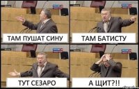 ТАМ ПУШАТ СИНУ ТАМ БАТИСТУ ТУТ СЕЗАРО А ЩИТ?!!