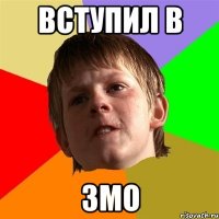 вступил в змо