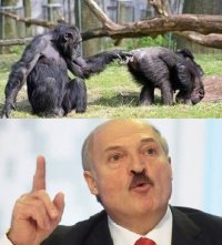 Создать мем 9