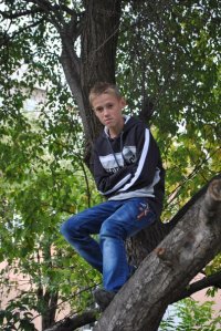 Создать мем аоо