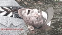 Создать мем авив