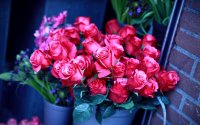 замира для тебя милая, Мем Цветы