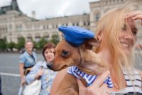 Создать мем кронштатко