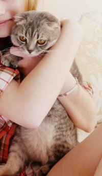 Создать мем настин котэ
