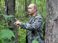Создать мем рол