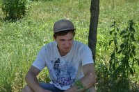 Создать мем саня