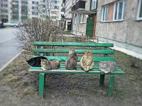 Создать мем ss