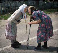 Создать мем stB8uQnhinw