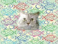 Создать мем типичный кот