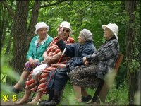 Создать мем ттмтмтмп