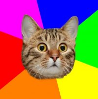 Создать мем Удивленный котан
