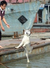 Создать мем Я должен страдать хуйней