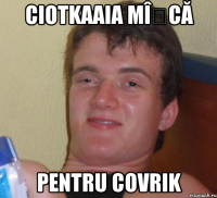 ciotkaaia mîșcă pentru covrik