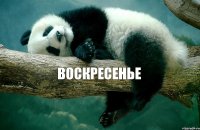  Воскресенье    