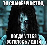 То самое чувство, когда у тебя осталось 7 дней
