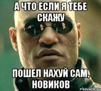 А что если я тебе скажу пошел нахуй сам, новиков