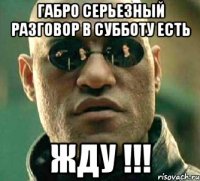 Габро серьезный разговор в субботу есть Жду !!!