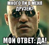 Много ли в меня друзей? Мой ответ: ДА!