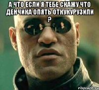 А ЧТО ЕСЛИ Я ТЕБЕ СКАЖУ ЧТО ДЕНЧИКА ОПЯТЬ ОТКУКУРУЗИЛИ ? 