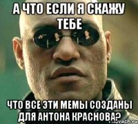 а что если я скажу тебе что все эти мемы созданы для Антона Краснова?