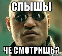 Слышь! Че смотришь?