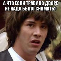 а что если траву во дворе не надо было снимать? 