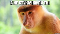 А не стукачка ли ты 