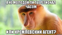 А не молодой ли ты Регионал часом или Кремлевский агент?