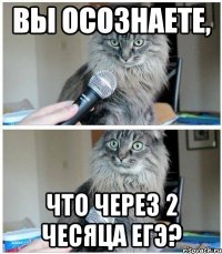 Вы осознаете, что через 2 чесяца ЕГЭ?