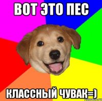 Вот это пес Классный чувак=)