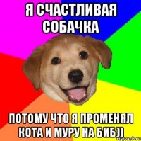Я счастливая собачка Потому что я променял Кота и Муру на БиБ))